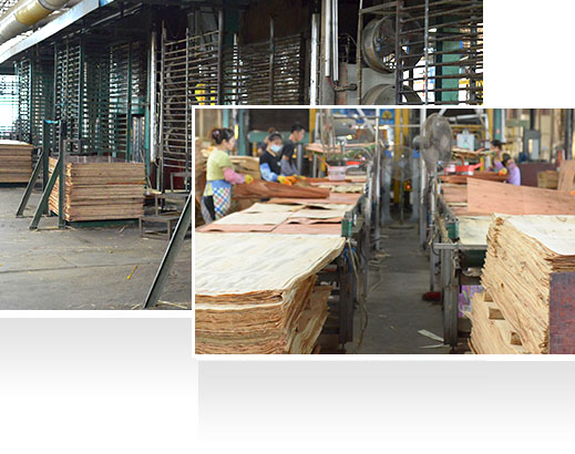 —30年耕耘，實力深厚